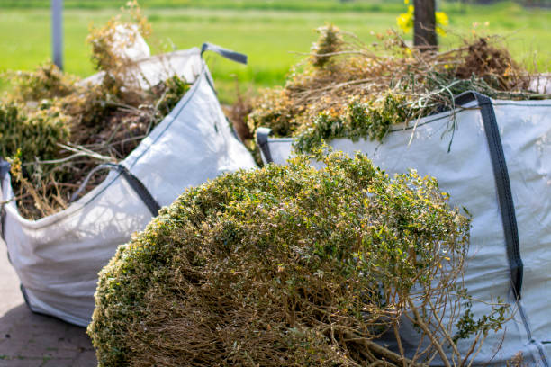Best Construction Debris Removal  in Johnson City, KS